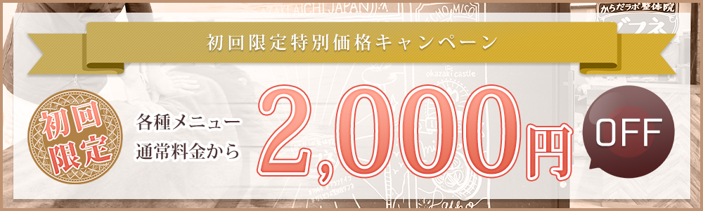 初回限定価格